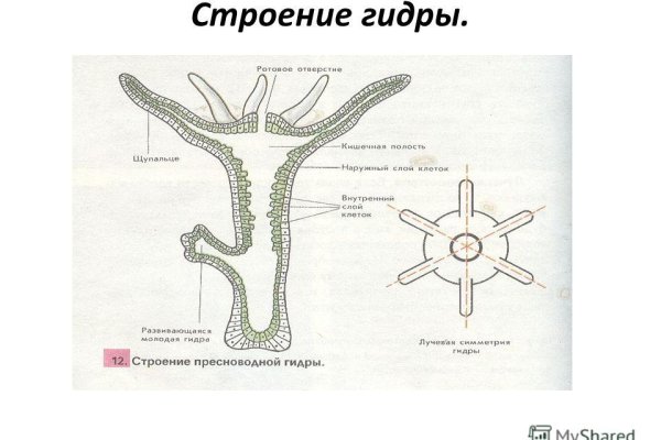 Кракен вместо гидры