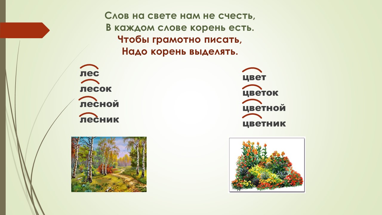 Однокоренные слова уходит. Уч однокоренные слова. Белка корень слова. Слова с корнем уч. Корень слова осторожно.